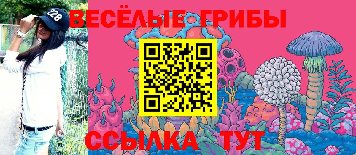 Псилоцибиновые грибы MAGIC MUSHROOMS Минеральные Воды